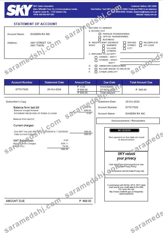 Philippines Sky Cable Corporation business utility bill Word and PDF template (2)